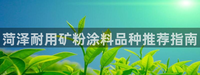 爱游戏官网app登录：菏泽耐用矿粉涂料品